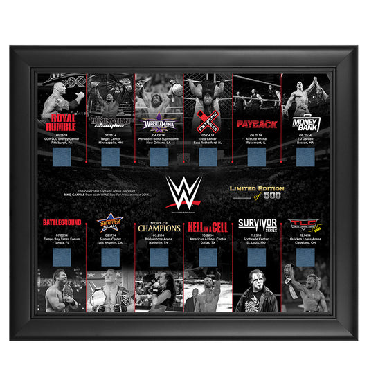 Framed 2014 Pay-Per-View Ring Canvas Commemorative Plaque