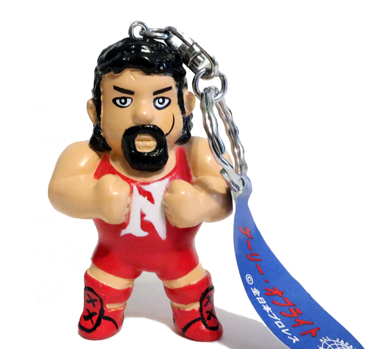 AJPW Tokyo Dome Keychain Set