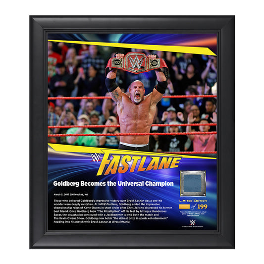 Goldberg FastLane 2017 15 x 17 Framed Plaque w Ring Canvas