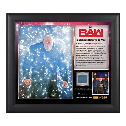 Goldberg Return to RAW Commemorative 15 x 17 Framed Plaque w Ring Canvas
