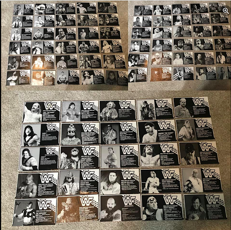 1990-94 WWF Hasbro Bio Card complete set (91) Approx value: $300 PW Catalog