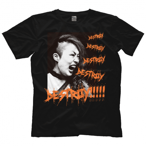 Hiroyo Matsumoto destroy destroy destroy Shirt Pwcatalog