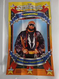 Honeycomb WWF randy savage poster