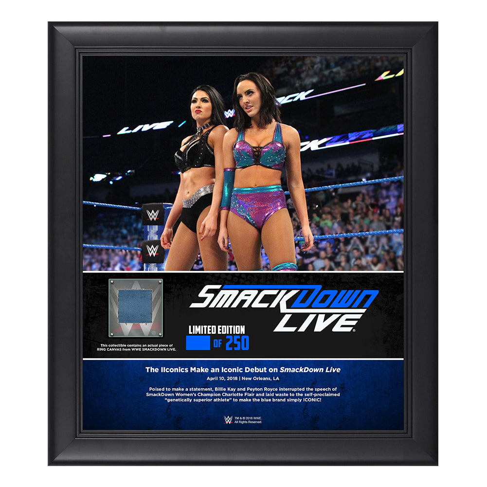 IIconic Duo SmackDown Live New Orleans 15 x 17 Framed Plaque w Ring Canvas Pwcatalog