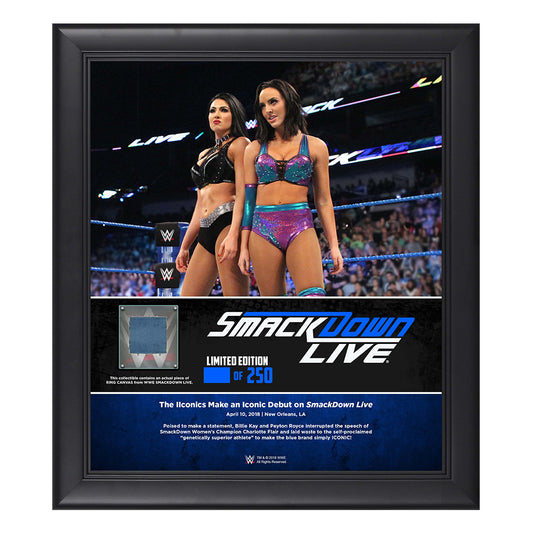 IIconic Duo SmackDown Live New Orleans 15 x 17 Framed Plaque w Ring Canvas
