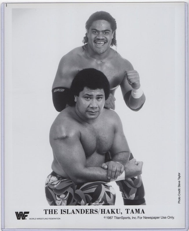 1987 Islanders PWcatalog