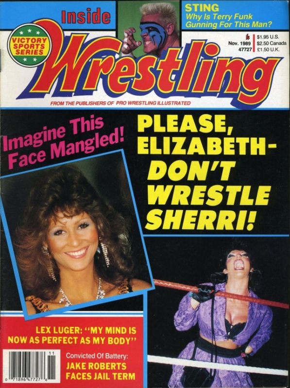 Inside Wrestling November 1989 Magazine PWcatalog