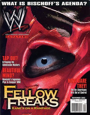 WWE Magazine November 2002 Magazine PWcatalog