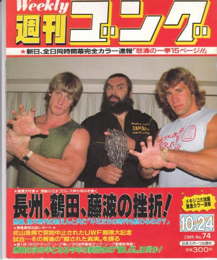 Japan Magazines & Newspapers PWcatalog