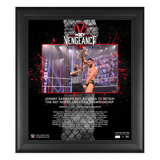 Johnny Gargano NXT TakeOver Vengeance Day 15x17 Commemorative Plaque