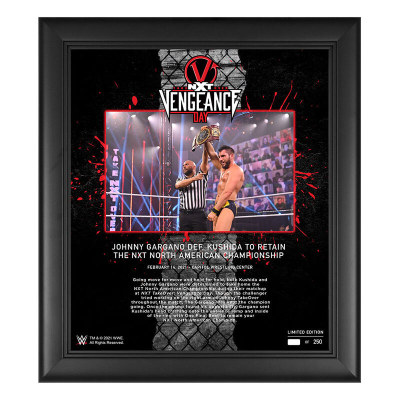 Johnny Gargano NXT TakeOver Vengeance Day 15x17 Commemorative Plaque Pwcatalog