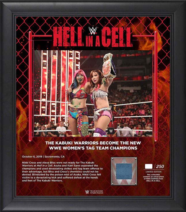The Kabuki Warriors Hell in a Cell 2019 15 x 17 Framed Plaque w Ring Canvas Pwcatalog