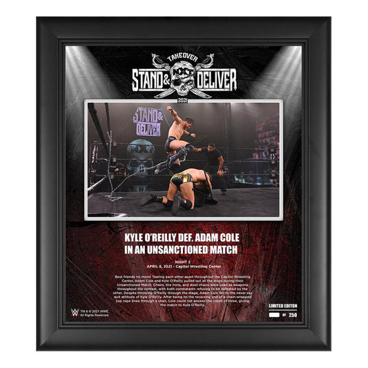 Kyle O'Reilly NXT TakeOver Stand & Deliver 15x17 Commemorative Plaque Pwcatalog