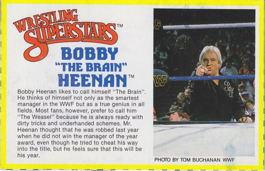 Bobby "The Brain" Heenan Series 3