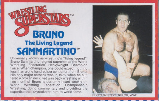Bruno Sammartino Series 3