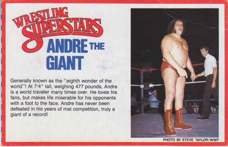 Andre the Giant Series 1 (long hair) &amp; 3 (short hair) PW Catalog