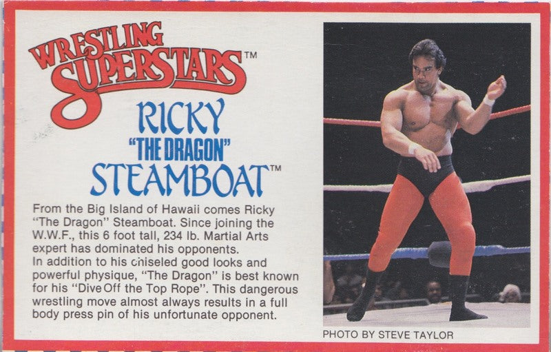 Ricky "The Dragon" Steamboat Series 3 PW Catalog