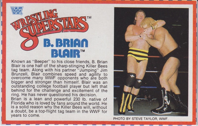 B. Brian Blair Series 4 PW Catalog