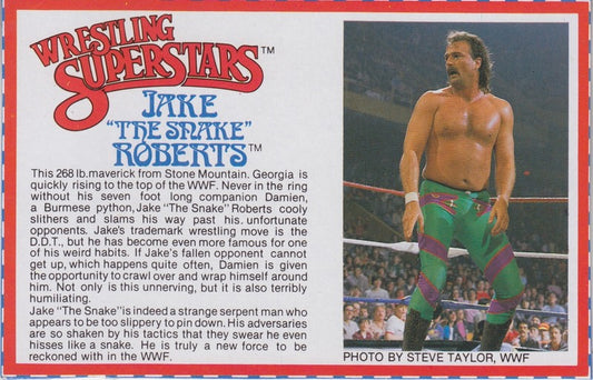Jake "The Snake" Roberts Series 4