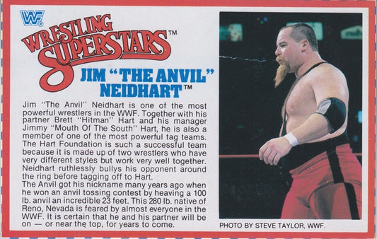 Jim "The Anvil" Neidhart Series 4