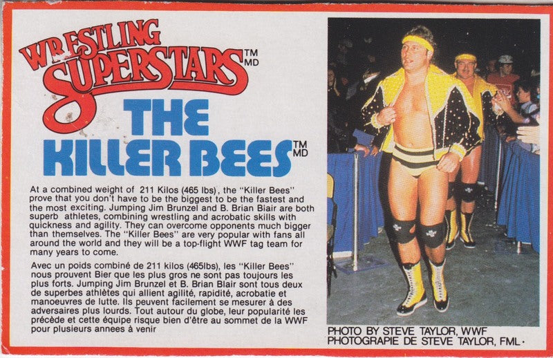 The Killer Bees Tag Team Box Bio card PW Catalog