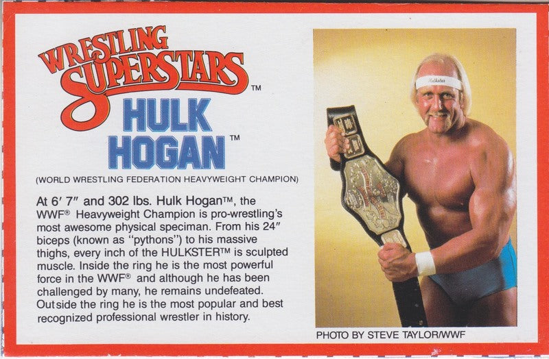 Hulk Hogan 16″ Figure Card PW Catalog