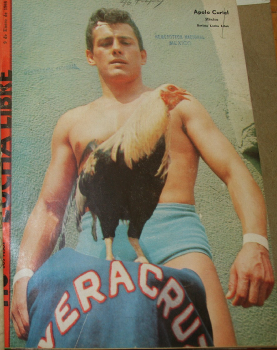 Lucha Libre Vol. 116