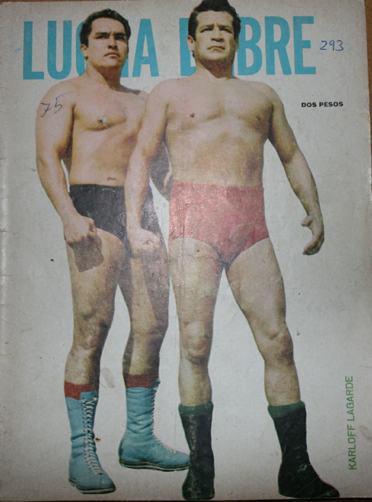 Lucha Libre Vol. 293