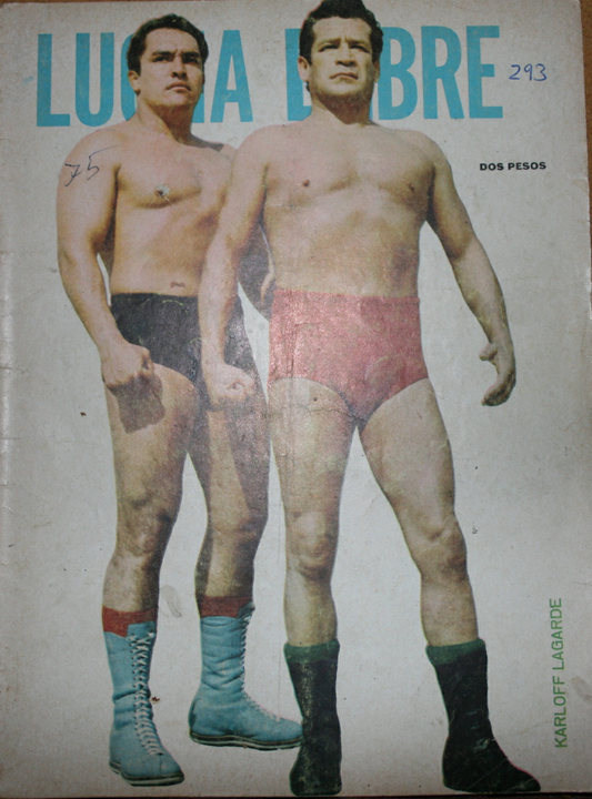 Lucha Libre Volume 293