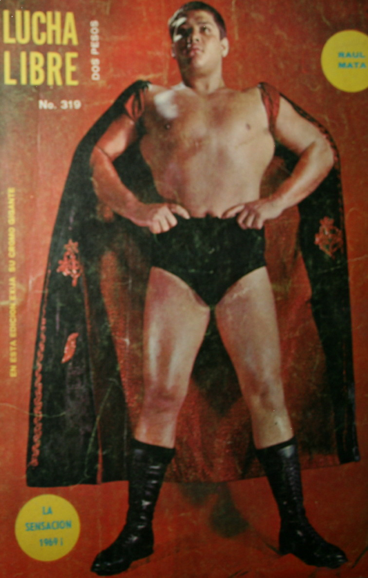 Lucha Libre Vol. 319