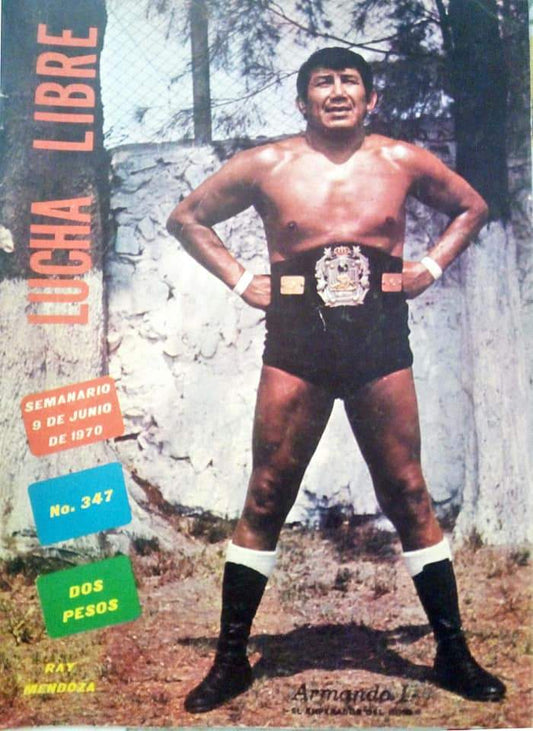 Lucha Libre Vol. 347