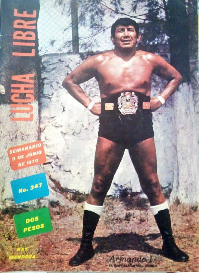 Lucha Libre Vol. 347