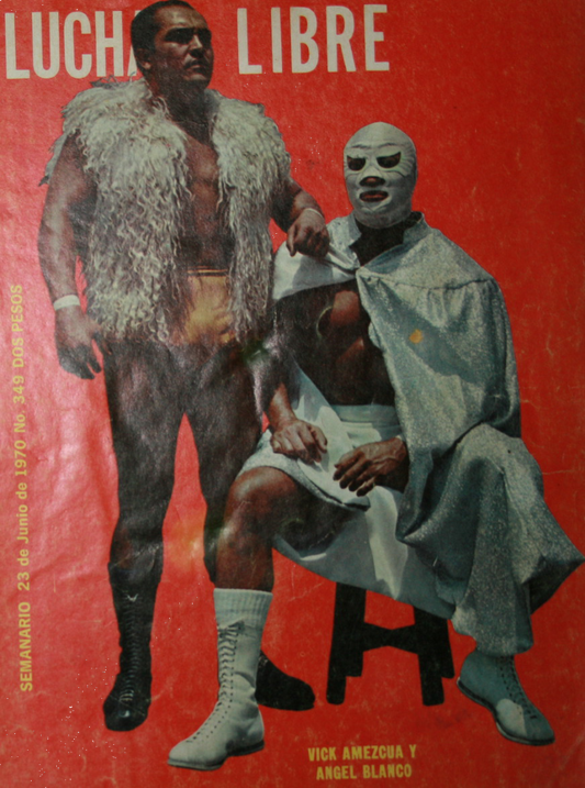 Lucha Libre Vol. 349