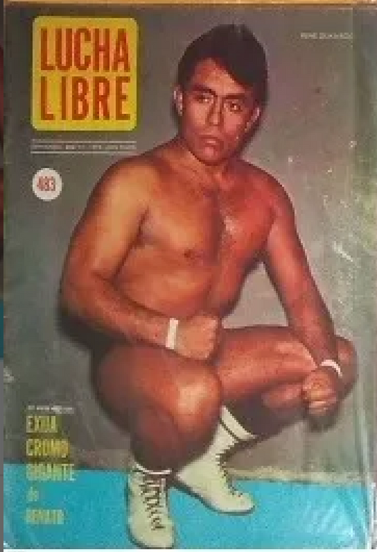 Lucha Libre Volume 483