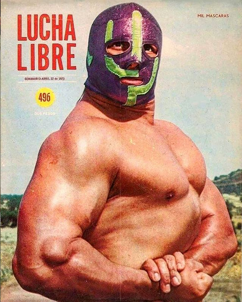 Lucha Libre Volume 496