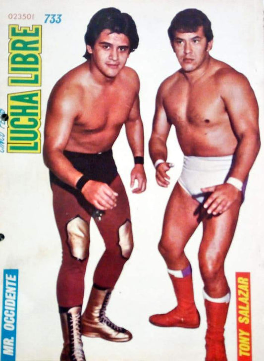 Lucha Libre Vol. 733