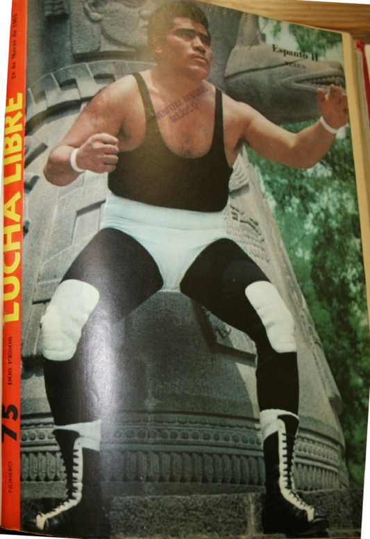 Lucha Libre Vol. 75