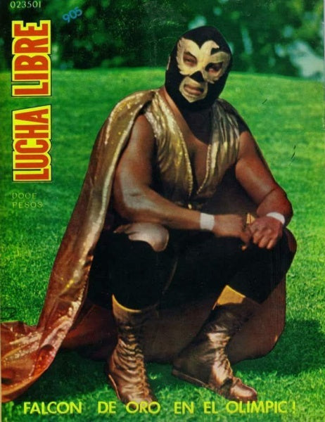 Lucha Libre 905