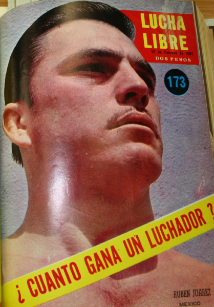 Lucha Libre 173