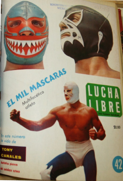 Lucha Libre 42