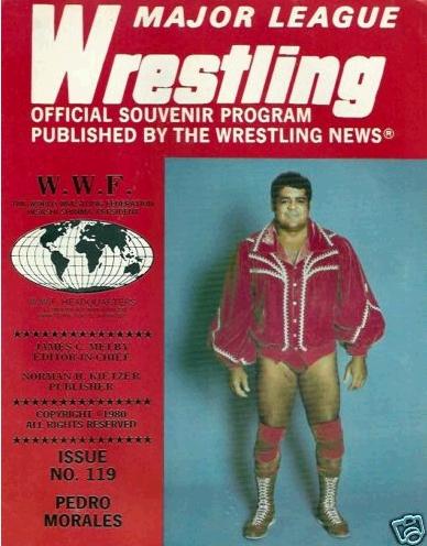 Major League Wrestling 1980 vol 119 Magazine PWcatalog
