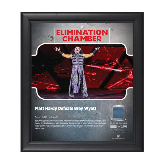 Matt Hardy Elimination Chamber 2018 15 x 17 Framed Plaque w Ring Canvas