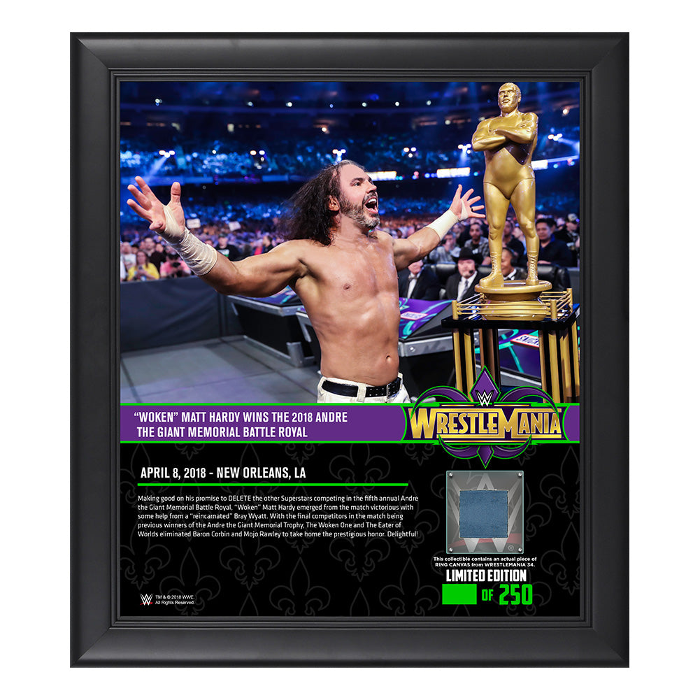 Matt Hardy WrestleMania 34 15 x 17 Framed Plaque w Ring Canvas