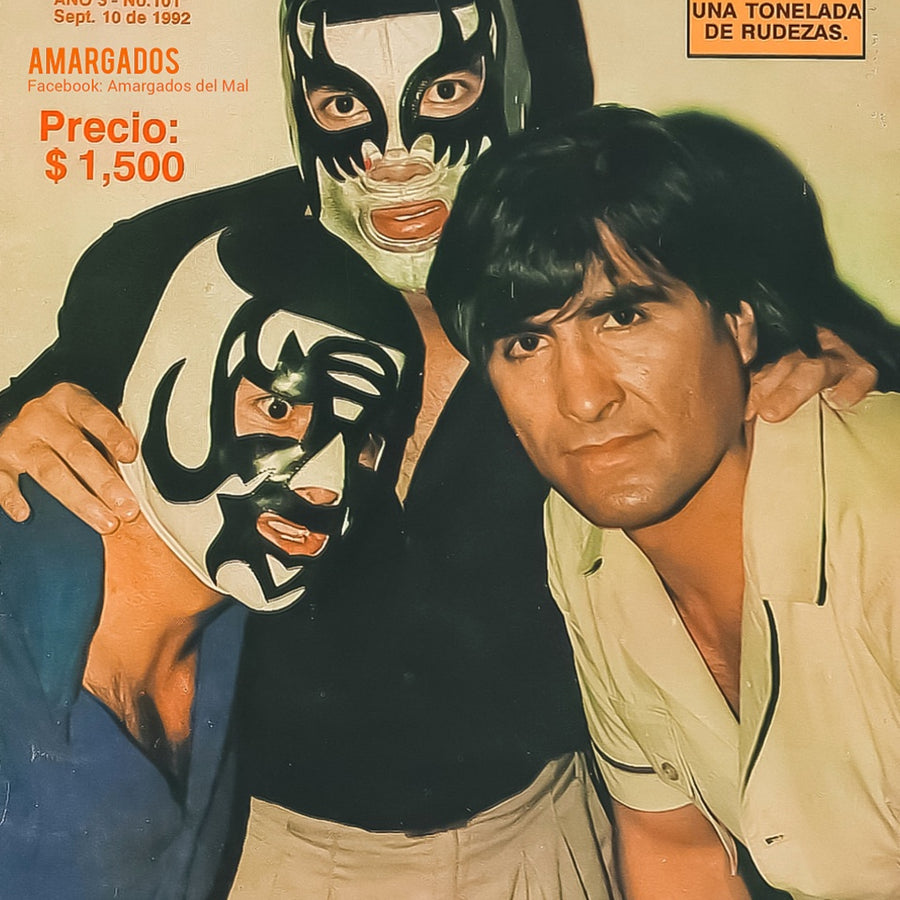 Mi Lucha 101 Magazine PWcatalog