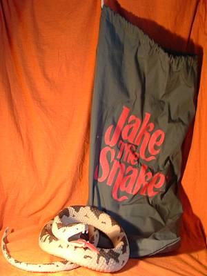 Jake Roberts Damien Snake - image 2
