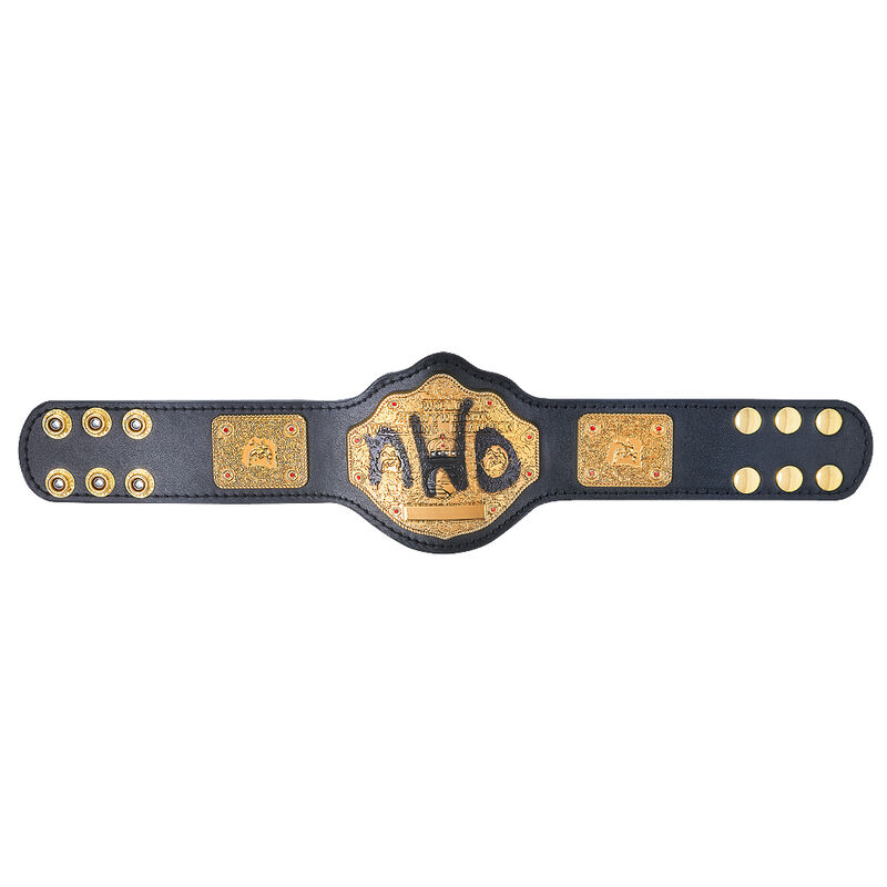 NWo Spray Paint WCW Championship Mini Replica Title Pwcatalog