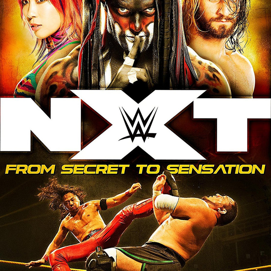 NXT From Secret To Sensation! DVDs & Videos PWcatalog