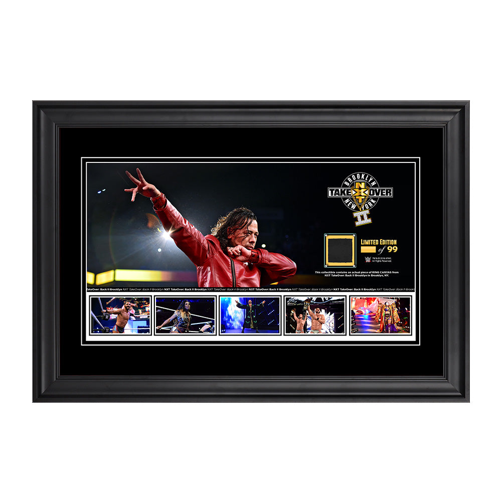 NXT TakeOver Brooklyn II 13 x 21 Panoramic Framed Plaque Pwcatalog
