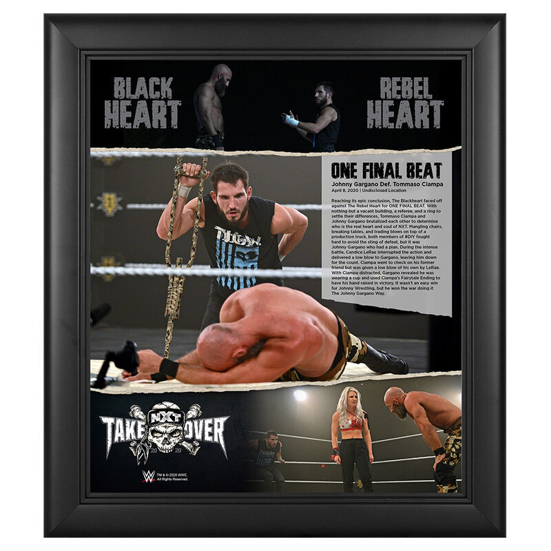 NXT Takeover One Final Beat Limited Edition 15 x 17 Plaque Pwcatalog