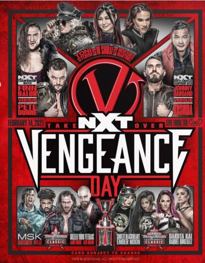 NXT Vengeance Day 16x20 Fight Card Poster Pwcatalog